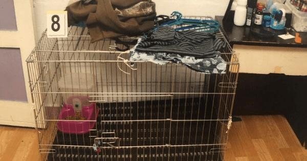 A description of the image