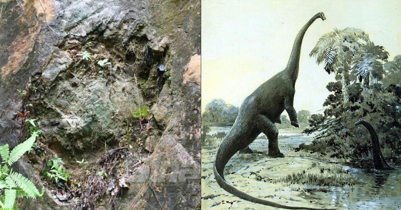 A description of the image