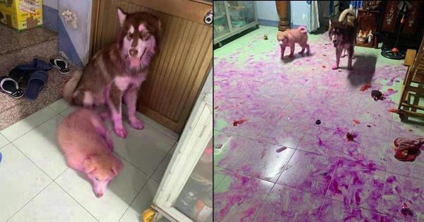 A description of the image