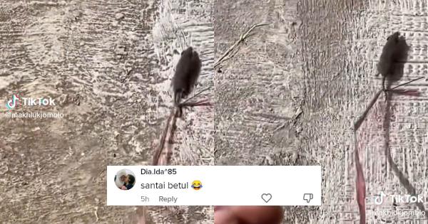 A description of the image