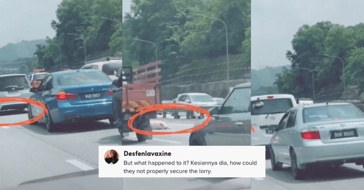 A description of the image