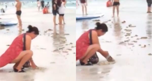 A description of the image