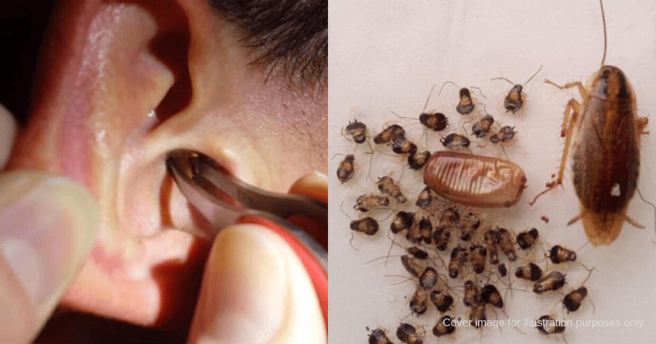 A description of the image