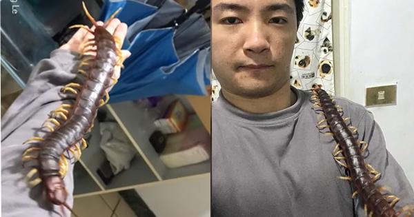 A description of the image