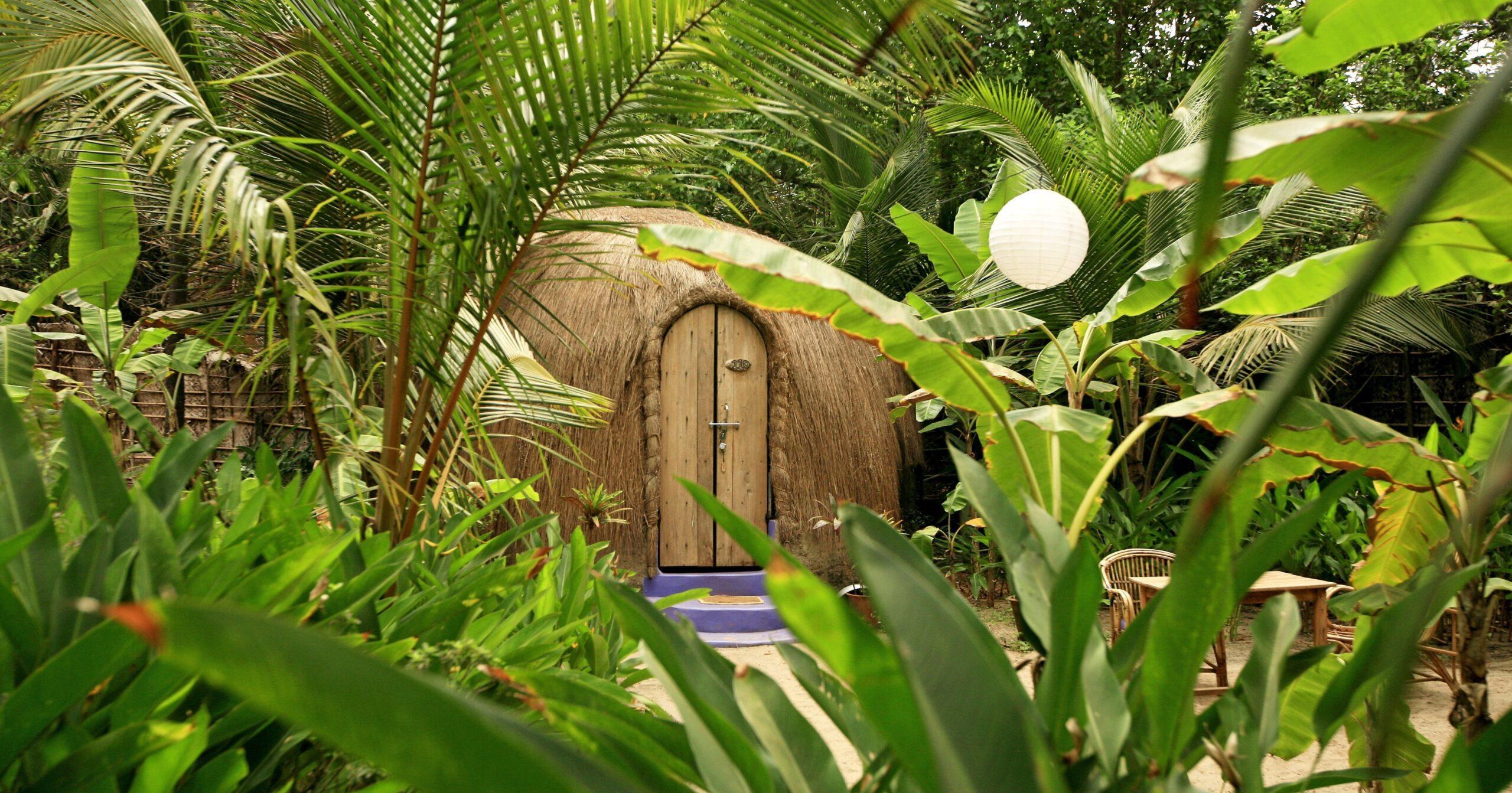 A description of the image