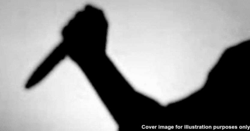 A description of the image