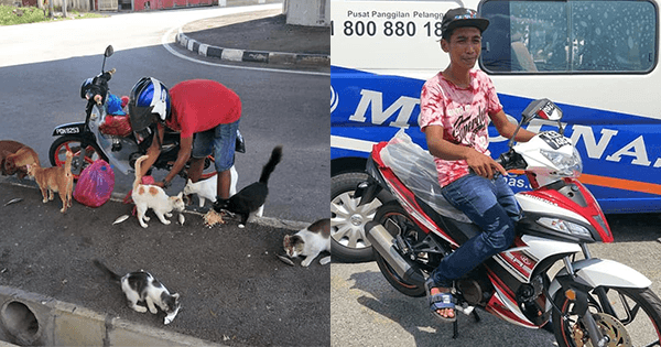 A description of the image