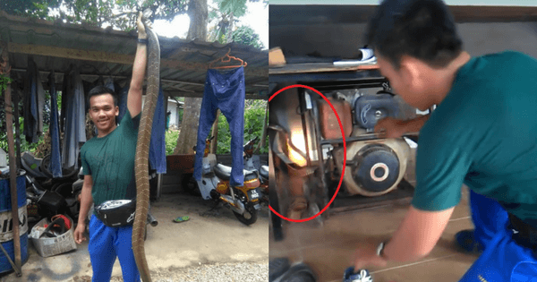 A description of the image