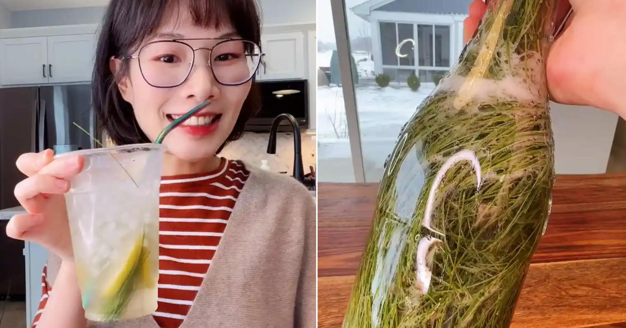 A description of the image