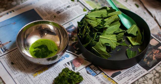 A description of the image