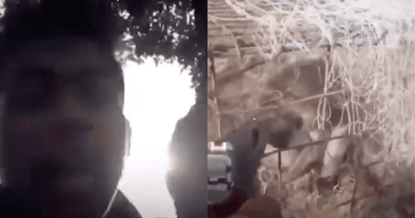 A description of the image