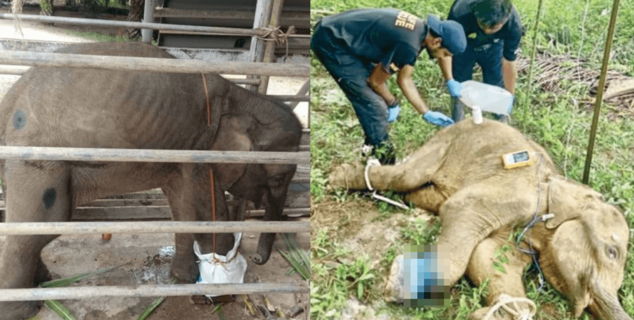 A description of the image