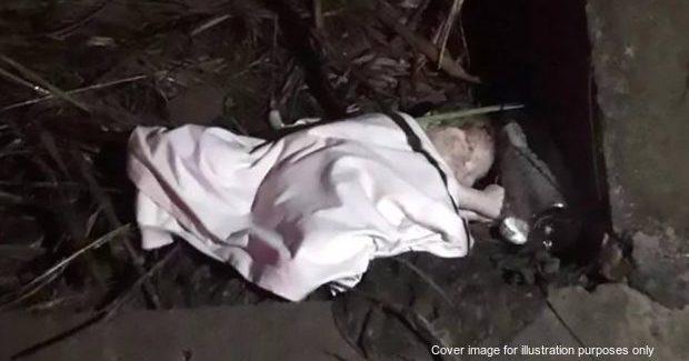 A description of the image