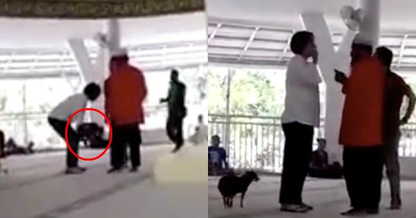 A description of the image