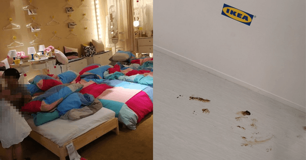 A description of the image