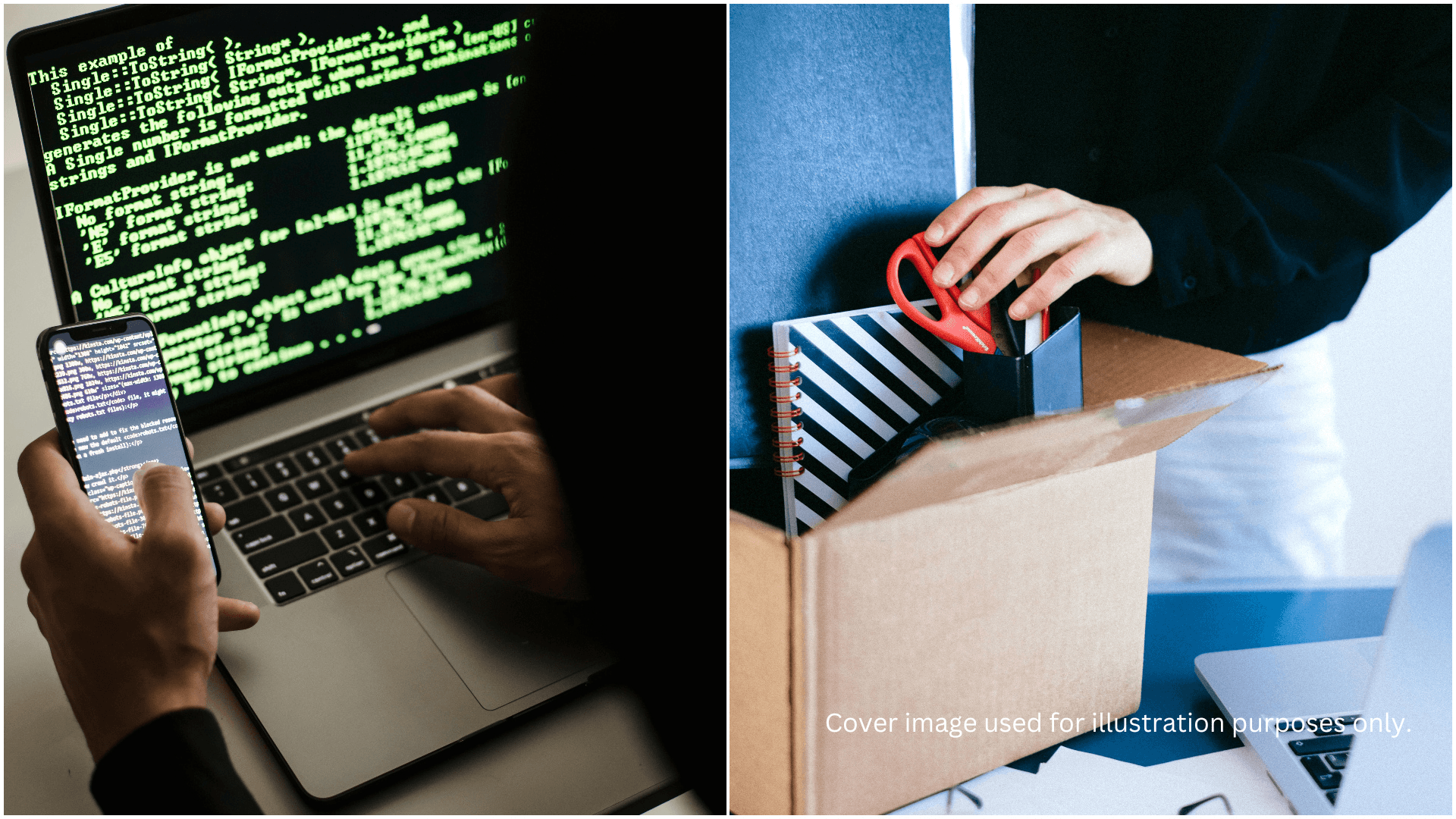 A description of the image