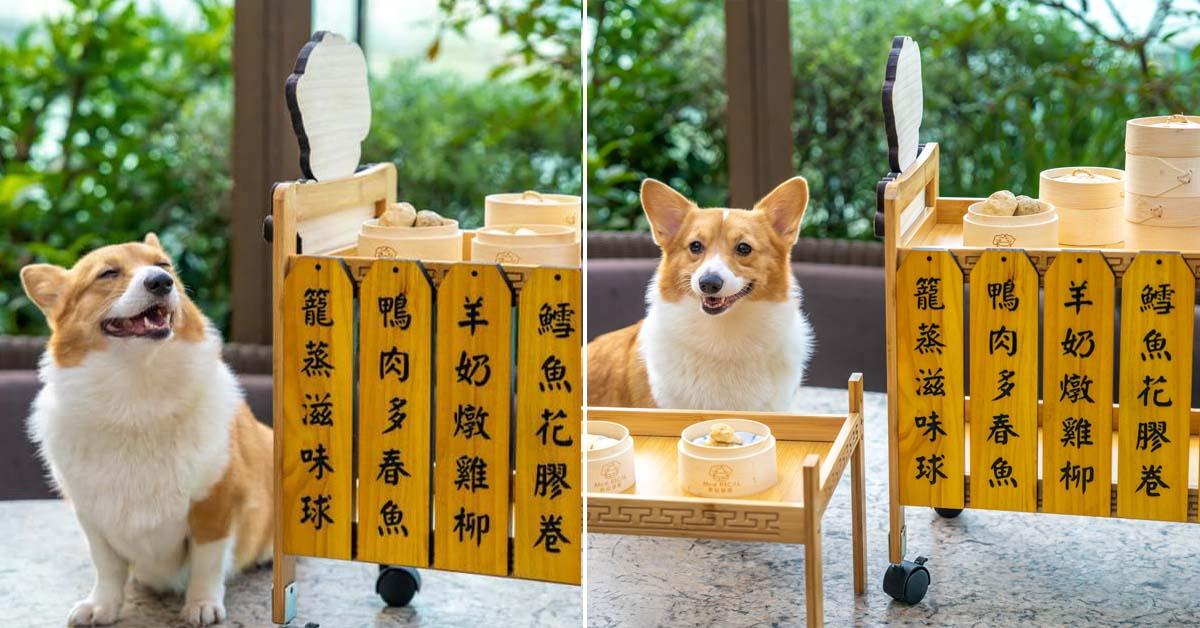 A description of the image