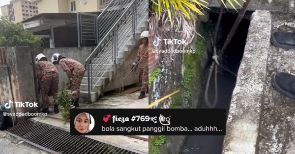 A description of the image