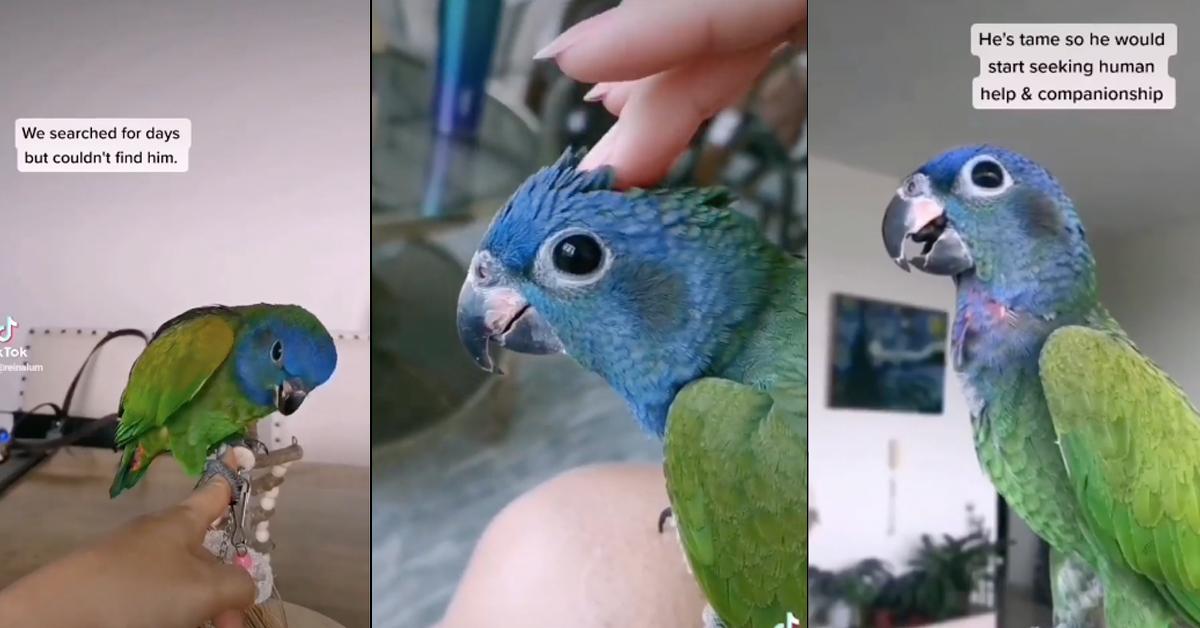 A description of the image