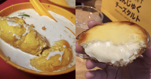 A description of the image