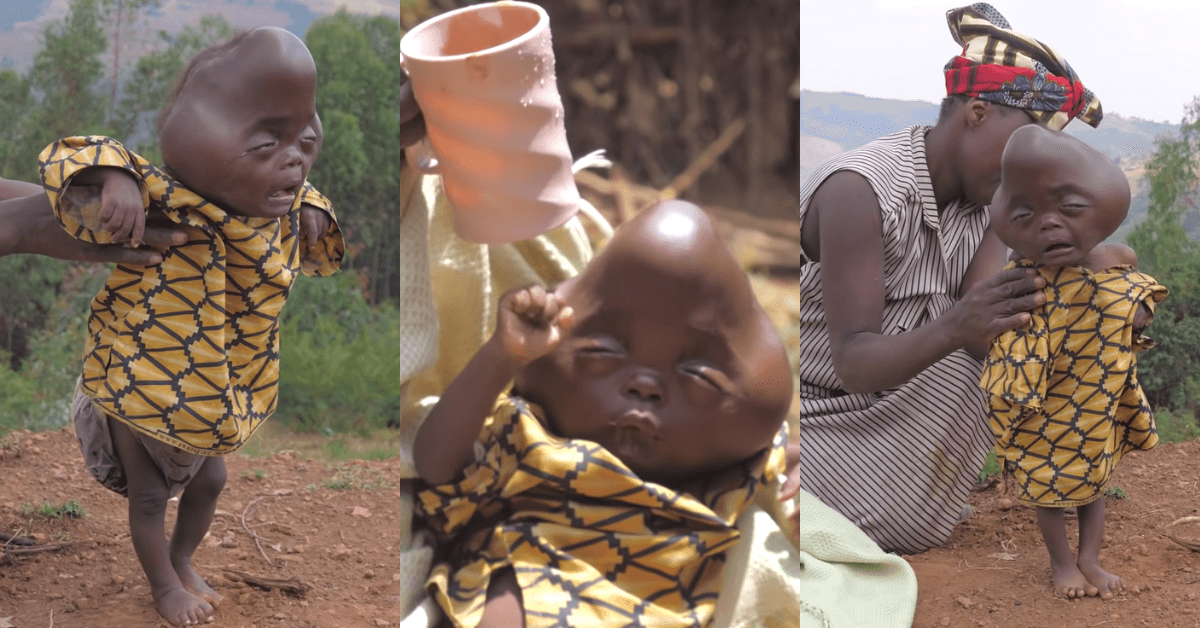 A description of the image