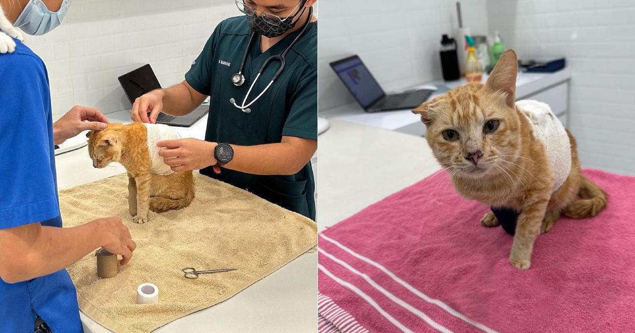 A description of the image