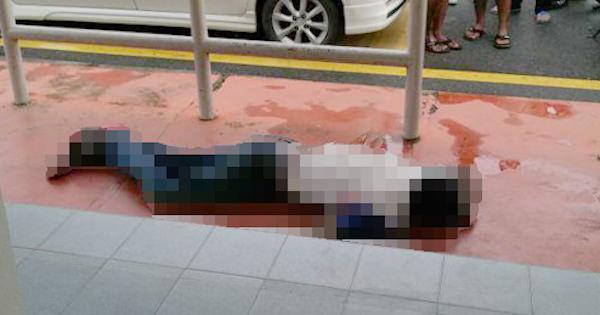 A description of the image