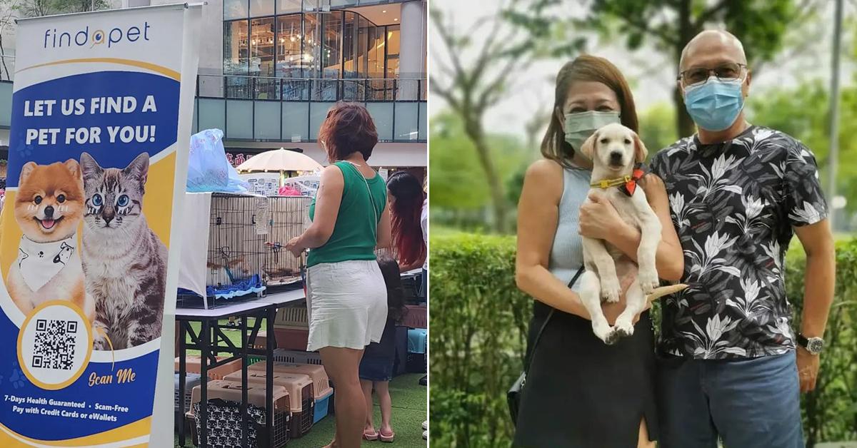 A description of the image