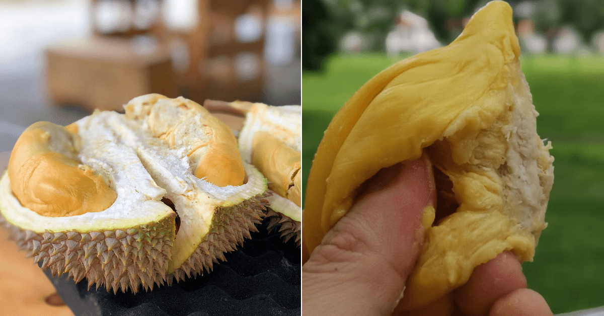 A description of the image