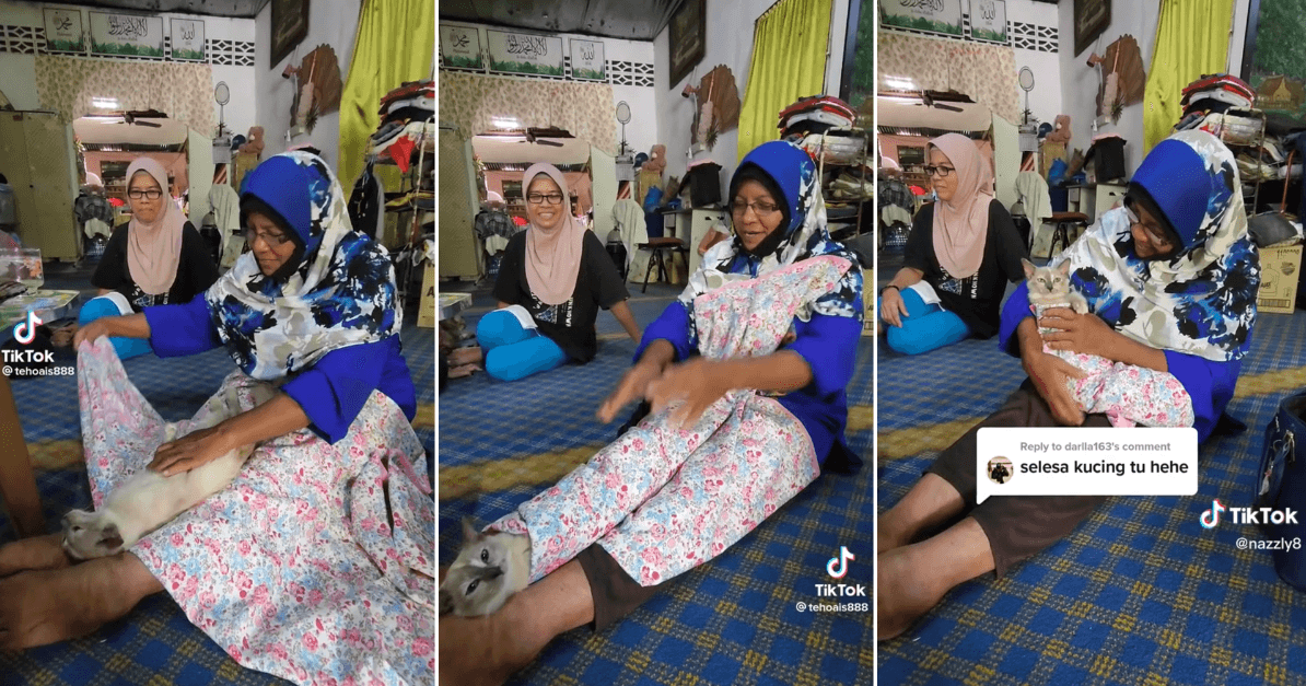 A description of the image