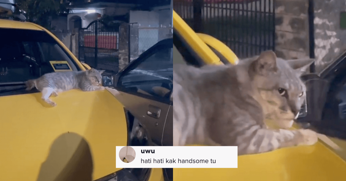 A description of the image