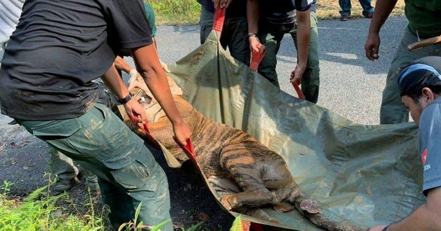 A description of the image