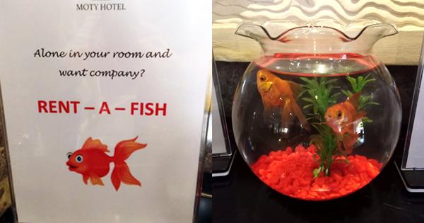 A description of the image