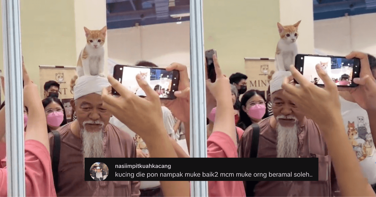 A description of the image