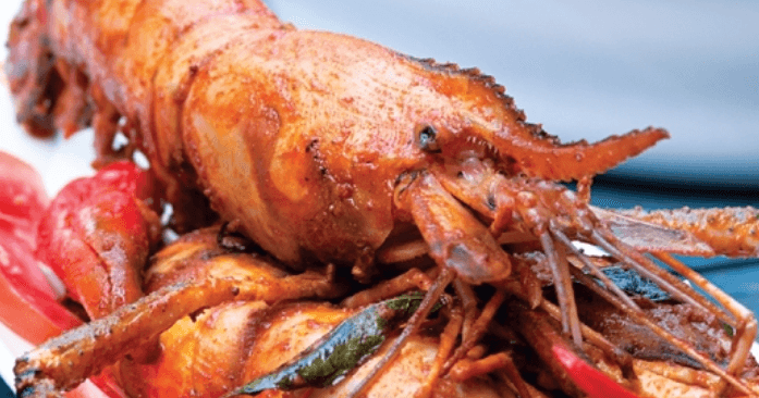 A description of the image