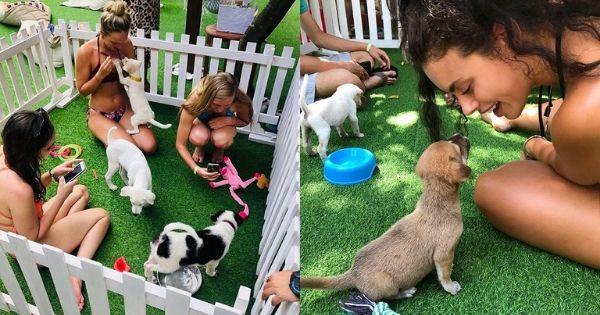 A description of the image