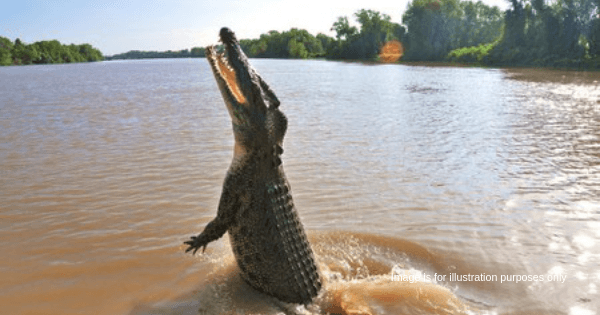 A description of the image