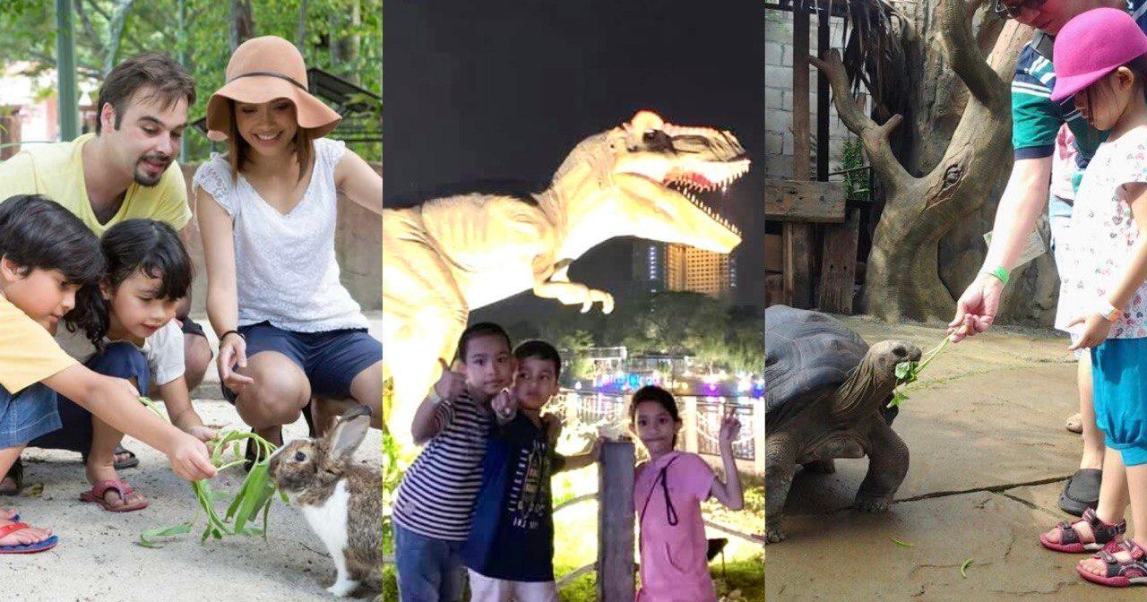 A description of the image