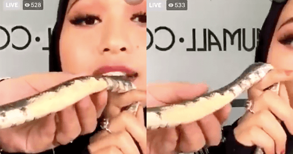 A description of the image