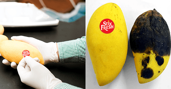 A description of the image