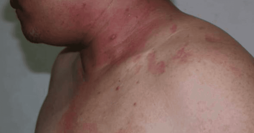 A description of the image