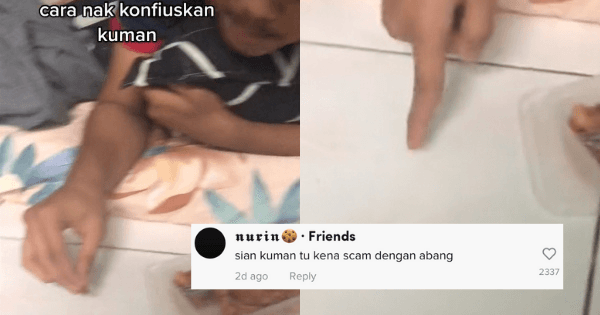 A description of the image