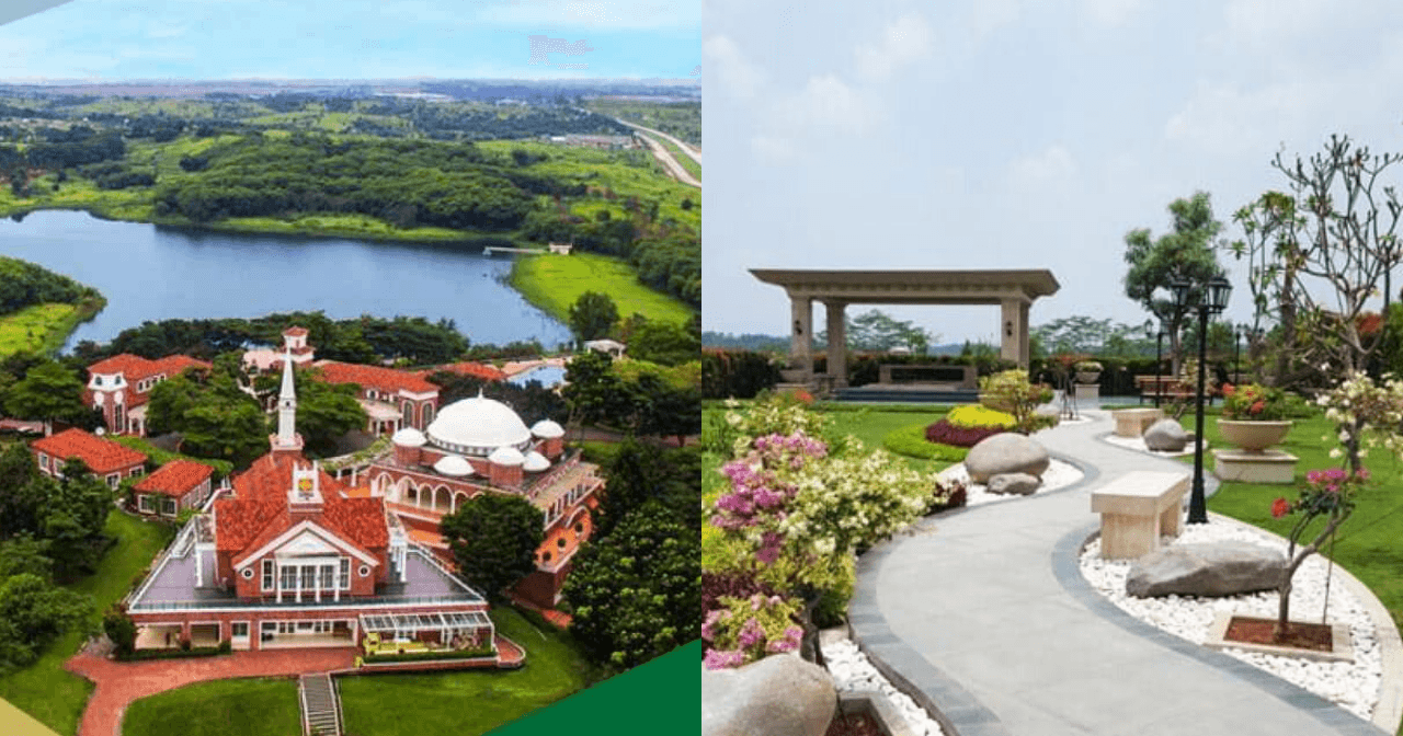 A description of the image