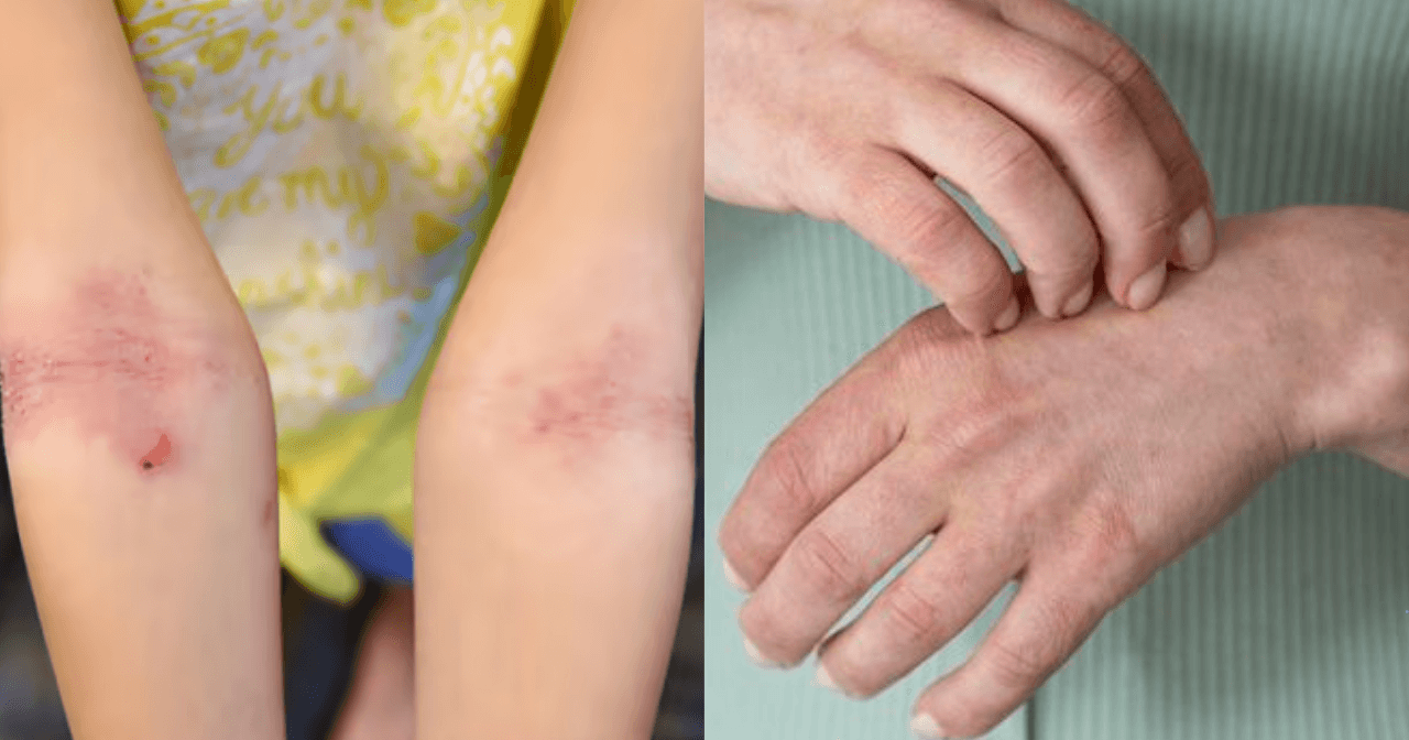 A description of the image