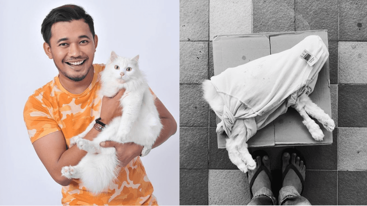 A description of the image