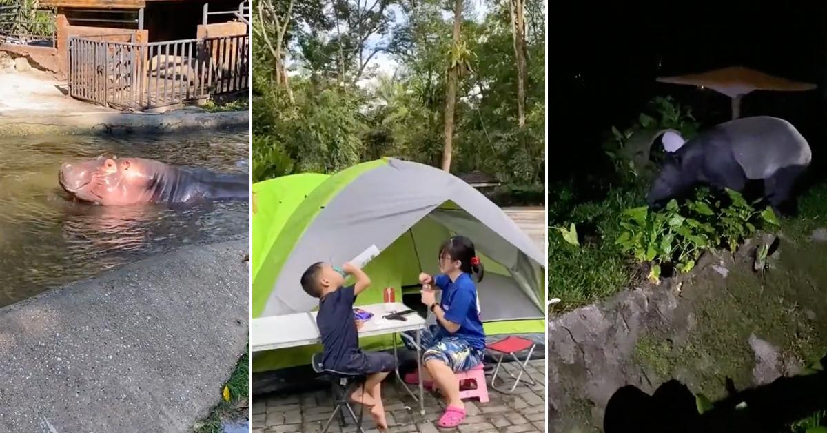 A description of the image