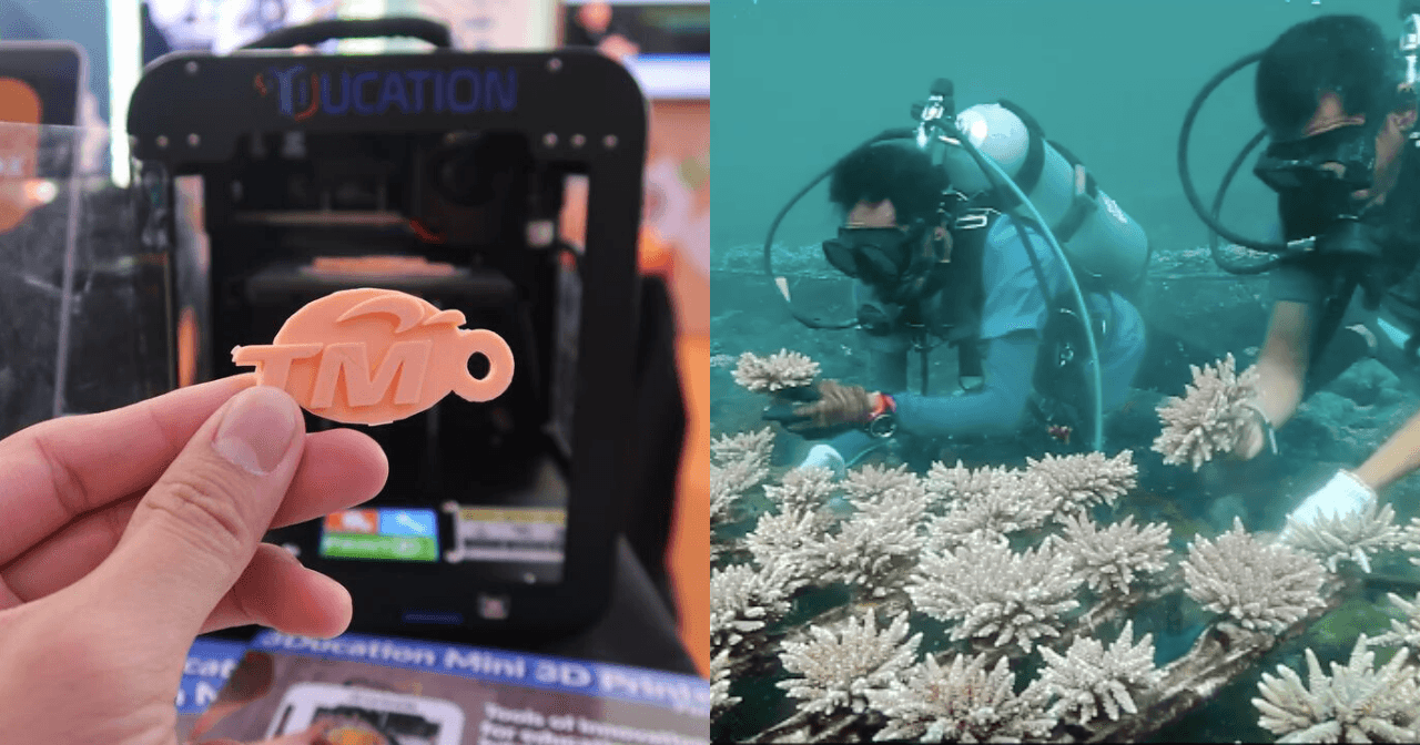 A description of the image