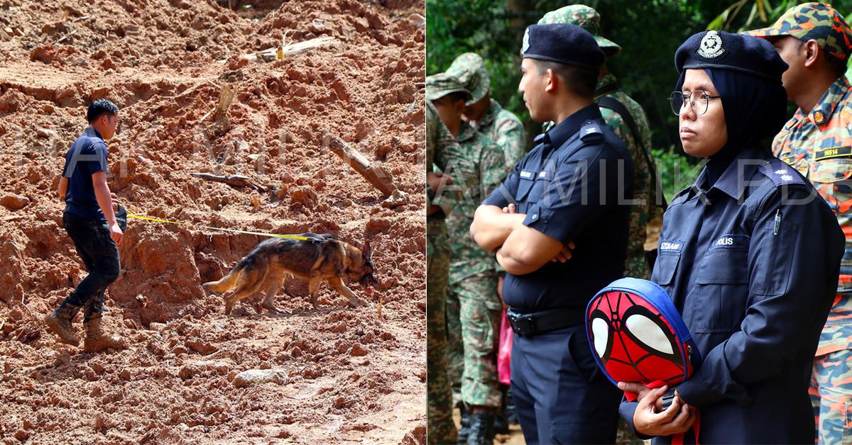 A description of the image