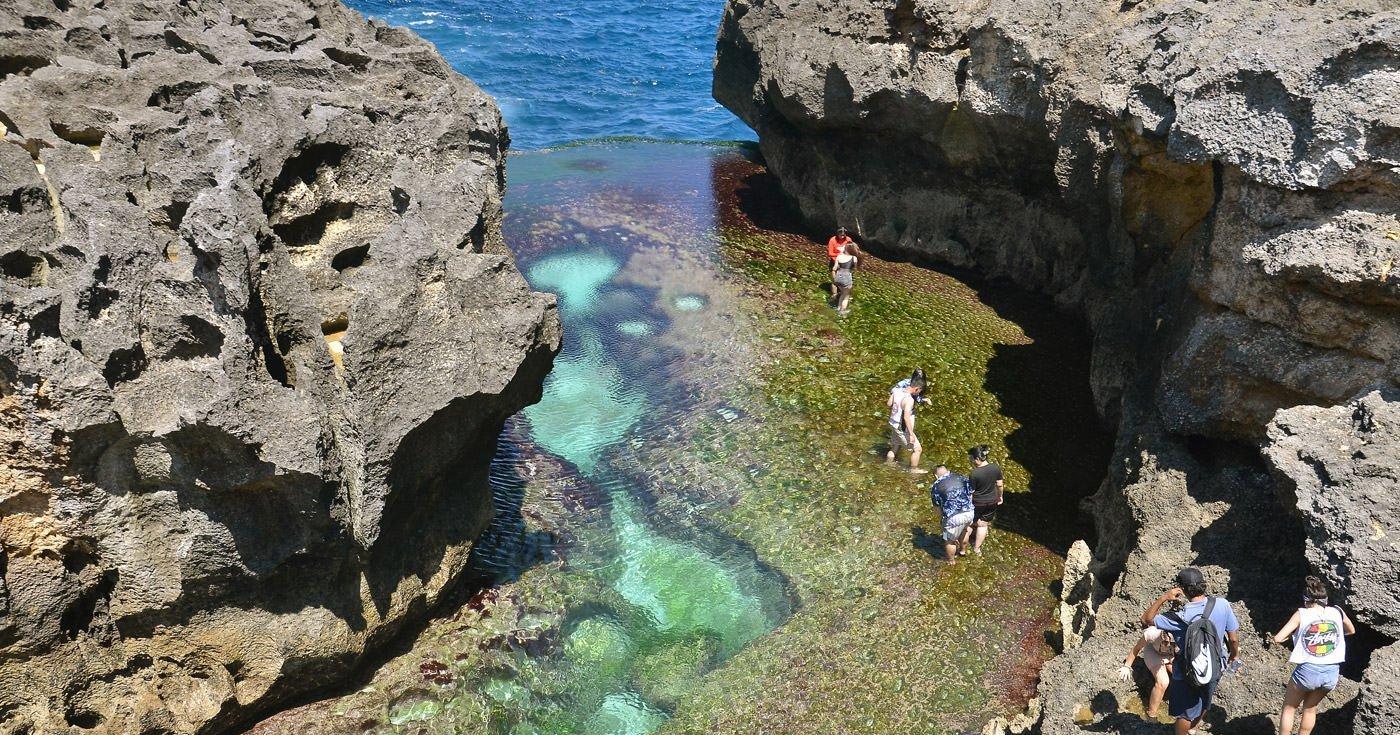 A description of the image