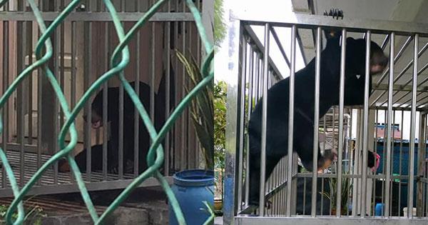 A description of the image